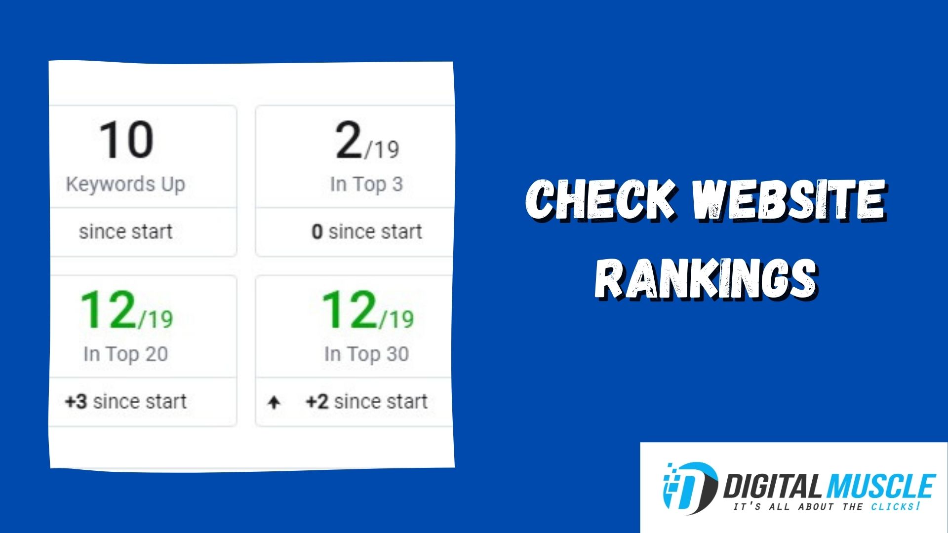 check website rankings